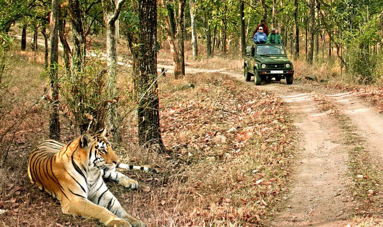 The Legacy Behind India's First Natural Sanctuary In Uttarakhand, Jim  Corbett
